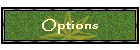 Options